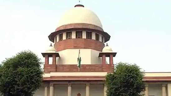 Article 32 guarantees citizens right to move the Supreme Court for enforcement of fundamental rights.(PTI)