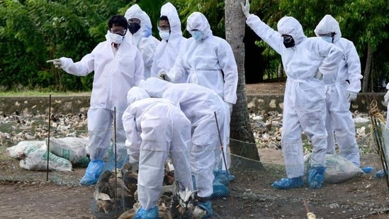 A team of health experts, from the Union Ministry of Health and Family Welfare visit a bird flu-affected area at Karuvatta in Alappuzha district on Thursday.(PTI) A team of health experts, from the Union Ministry of Health and Family Welfare visit a bird flu-affected area at Karuvatta in Alappuzha district on Thursday.(PTI)