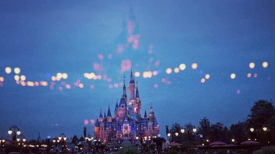 Disneyland (Representational Image)(Unsplash) Disneyland (Representational Image)(Unsplash)