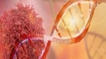 After defining extensive cellular heterogeneity, researchers from The University of Texas MD Anderson Cancer Center developed a tool that might be useful in stratifying patients with gastric cancer and directing them for more effective treatment strategies.(ANI) After defining extensive cellular heterogeneity, researchers from The University of Texas MD Anderson Cancer Center developed a tool that might be useful in stratifying patients with gastric cancer and directing them for more effective treatment strategies.(ANI)