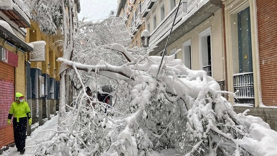 A man walks past trees fallen on a street, during a heavy snowfall in the centre of Madrid, Spain. (Reuters)