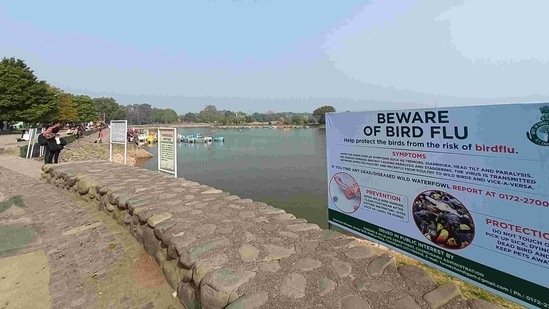 An advisory at Sukhna Lake in Chandigarh listing bird flu precautions on January 9. The entire state of Punjab has been declared a 'controlled area' in view of the outbreak affecting birds in neighbouring states. A complete ban has also been imposed on the import of live birds including poultry and unprocessed poultry meat into the state till January 15, according to a Punjab government statement.(Ravi Kumar / HT Photo)