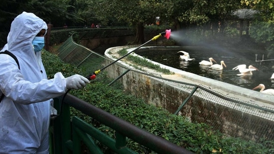 A worker sprays disinfectant near a bird enclosure at Lucknow Zoo as a preventive measure on January 9. Kanpur Zoological Park has been closed for visitors for 15 days after a suspected case of bird flu has been detected in the zoo.(Dheeraj Dhawan / HT Photo)