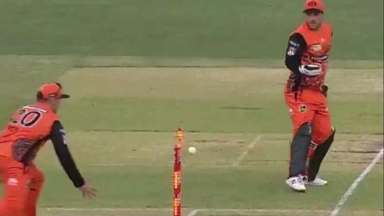 Perth Scorchers stumper Josh Inglis affects run out against Sydnen Thunder in BBL(Twitter)