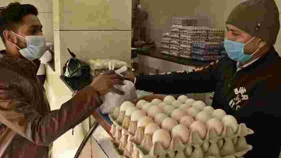 While there are no confirmed cases of bird flu in Punjab, traders say fewer customers were turning up to buy poultry products, such as raw chicken and eggs. (Harsimar Pal Singh/HT)
