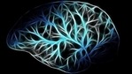 Functional seizures are sudden attacks or spasms that look like epileptic seizures but do not have the aberrant brain electrical patterns of epilepsy.(Pixabay) Functional seizures are sudden attacks or spasms that look like epileptic seizures but do not have the aberrant brain electrical patterns of epilepsy.(Pixabay)
