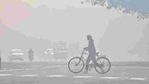 The top court was hearing a petition which has raised the issue of pollution caused due to stubble burning in neighbouring states of Delhi. The top court was hearing a petition which has raised the issue of pollution caused due to stubble burning in neighbouring states of Delhi.
