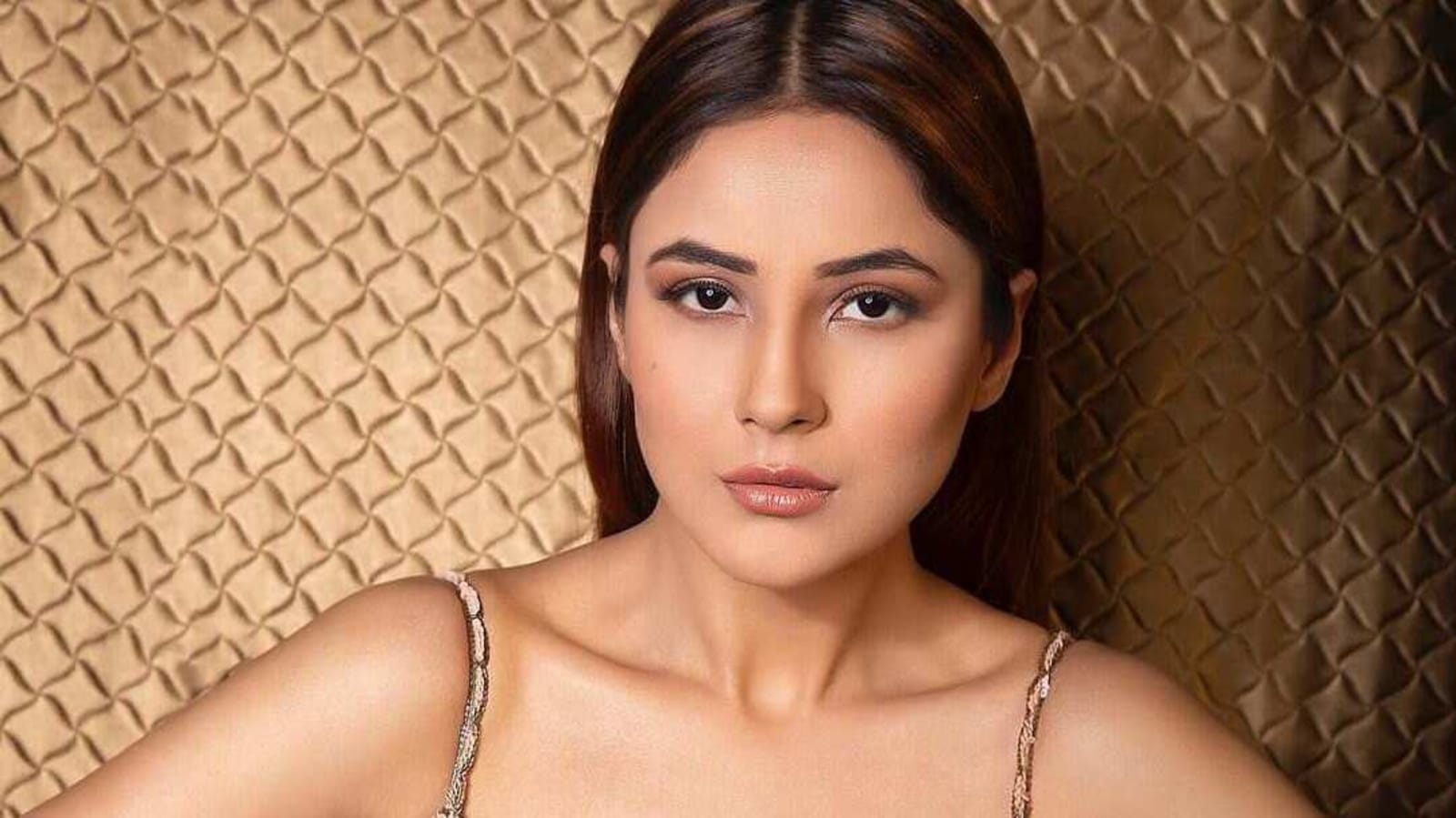 Fan tells Shehnaaz Gill her ‘wrinkles’ are showing, she blames it on