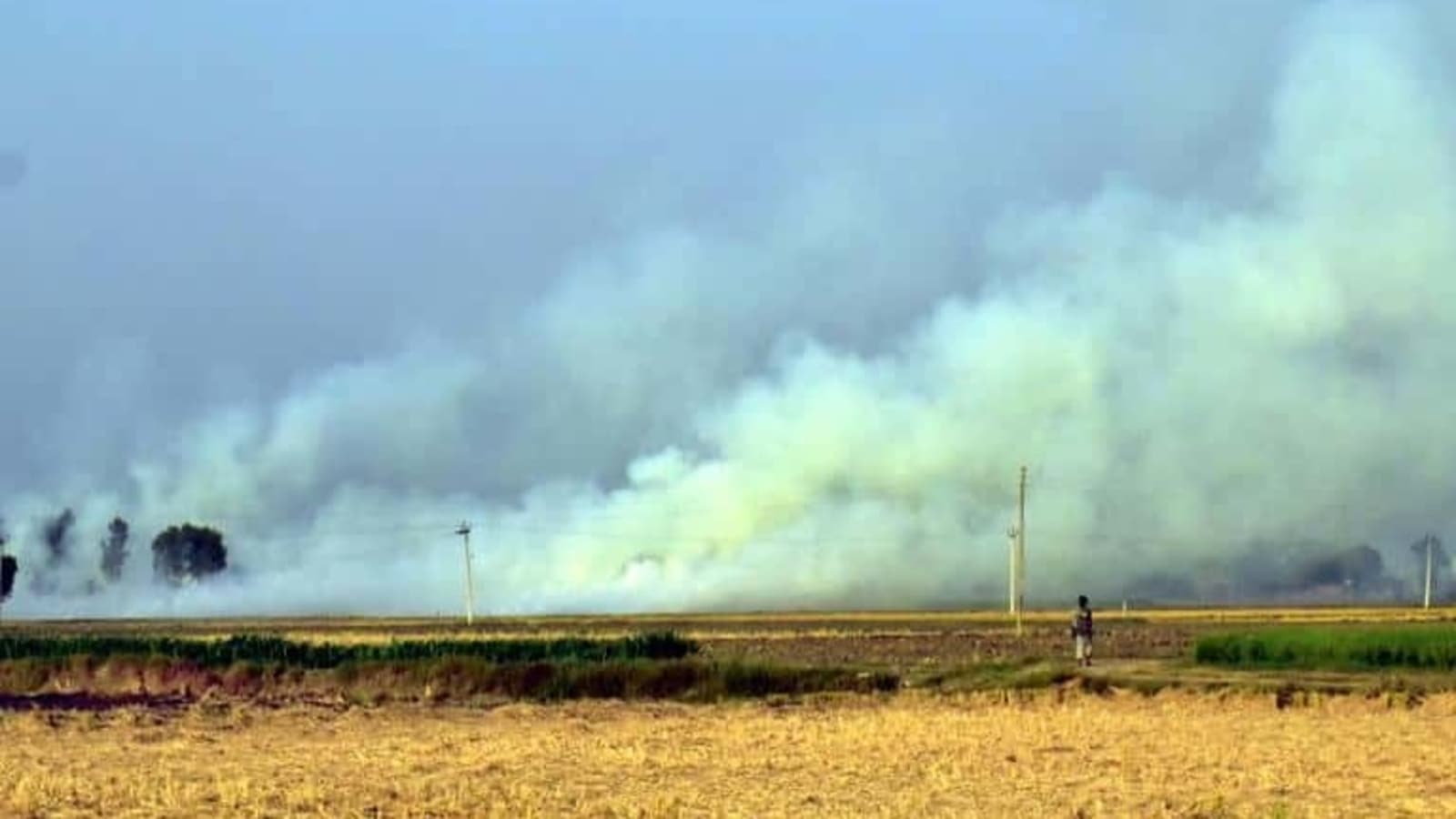 The burning of straw and stubble by farmers is the main cause of air pollution in northern India.