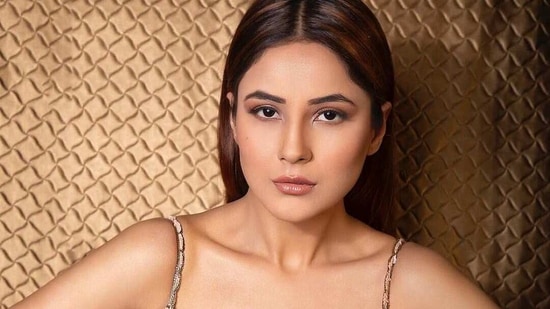 Shehnaaz Gill did her own make-up for her Instagram live.