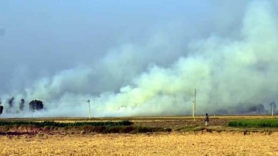 Straw and stubble burning by farmers are a major cause of air pollution in north India.(HT FILE PHOTO) Straw and stubble burning by farmers are a major cause of air pollution in north India.(HT FILE PHOTO)