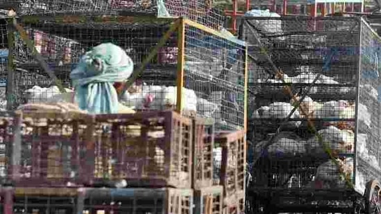 Vendors at Gazipur chicken market in New Delhi.(PTI File Photo) Vendors at Gazipur chicken market in New Delhi.(PTI File Photo)