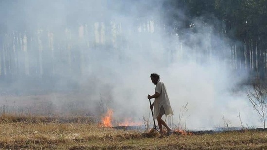 File photo: Stubble burning(HT File Photo) File photo: Stubble burning(HT File Photo)
