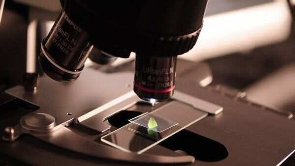 A research team has recently determined that the "Immune only" focus of the current research must be updated to better understand autoimmune diseases such as type 1 diabetes and multiple sclerosis.(ANI) A research team has recently determined that the "Immune only" focus of the current research must be updated to better understand autoimmune diseases such as type 1 diabetes and multiple sclerosis.(ANI)