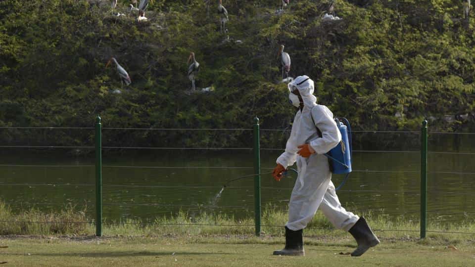 Food served to the animals is disinfected and also the keepers have been asked to keep a watch on the behaviour of birds and report any change (HT/File Photo) Food served to the animals is disinfected and also the keepers have been asked to keep a watch on the behaviour of birds and report any change (HT/File Photo)