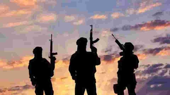 The ministry of external affairs said India stands in solidarity with the Government and people of Niger in the fight against terrorism.(Representative Image) The ministry of external affairs said India stands in solidarity with the Government and people of Niger in the fight against terrorism.(Representative Image)
