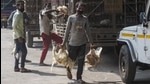 As Bird flu hits Mumbai city, a worker is seen carrying a bunch of chickens for sale, in Govandi. (Pratik Chorge/HT Photo) As Bird flu hits Mumbai city, a worker is seen carrying a bunch of chickens for sale, in Govandi. (Pratik Chorge/HT Photo)