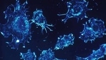 A detailed description of how ovarian cancer cells adapt to survival and proliferation in the peritoneal cavity has been published in Frontiers in Oncology.  (ANI)