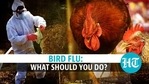 Bird flu has hit the country amid the Covid-19 pandemic (Agencies) Bird flu has hit the country amid the Covid-19 pandemic (Agencies)