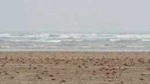 Odisha Chief Minister Naveen Patnaik on Tuesday directed officials to develop the Chandrabhaga and Talsari beach with world class amenities to attract more domestic and foreign tourists.(Yahoo) Odisha Chief Minister Naveen Patnaik on Tuesday directed officials to develop the Chandrabhaga and Talsari beach with world class amenities to attract more domestic and foreign tourists.(Yahoo)