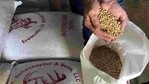 The leftover product after extracting soyabean oil is called soyabean meal, which is a major source of protein.(Reuters File Photo ) The leftover product after extracting soyabean oil is called soyabean meal, which is a major source of protein.(Reuters File Photo )