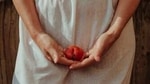 Representational Image(Unsplash) Representational Image(Unsplash)