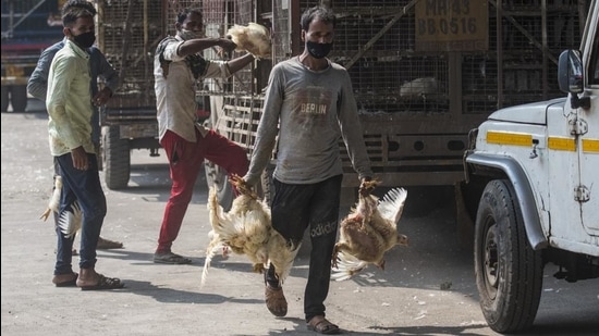 As Bird flu hits Mumbai city, a worker is seen carrying a bunch of chickens for sale, in Govandi. (Pratik Chorge/HT Photo) As Bird flu hits Mumbai city, a worker is seen carrying a bunch of chickens for sale, in Govandi. (Pratik Chorge/HT Photo)