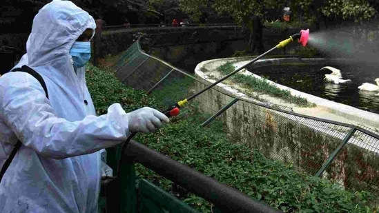 On Monday, Prime Minister Narendra Modi said poultry farms, zoos, water bodies will have to be constantly monitored to contain the disease. He had also asked all states to remain on alert to control the spread of the disease. (Dheeraj Dhawan / HT Photo) On Monday, Prime Minister Narendra Modi said poultry farms, zoos, water bodies will have to be constantly monitored to contain the disease. He had also asked all states to remain on alert to control the spread of the disease. (Dheeraj Dhawan / HT Photo)