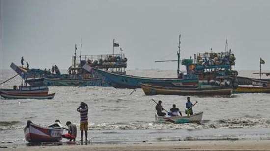 The compensation to fishermen who rescue and release endangered marine life is provided once they submit proof of the release and damage to nets. (PTI) The compensation to fishermen who rescue and release endangered marine life is provided once they submit proof of the release and damage to nets. (PTI)