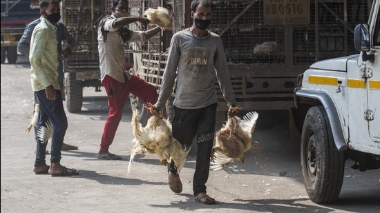 A worker seen carrying a bunch of chickens at Govandi. (Pratik Chorge/HT Photo)