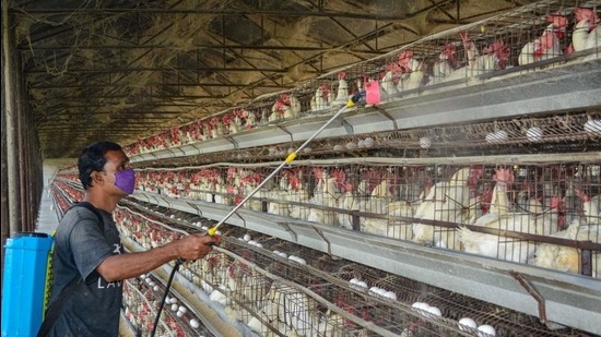 Representational image. (PTI)