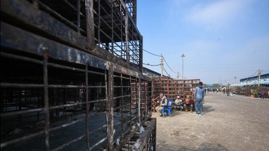 Ghazipur Poultry Market has been closed for 10 days due to concerns over bird flu in New Delhi. (Amal KS/HT PHOTO) Ghazipur Poultry Market has been closed for 10 days due to concerns over bird flu in New Delhi. (Amal KS/HT PHOTO)