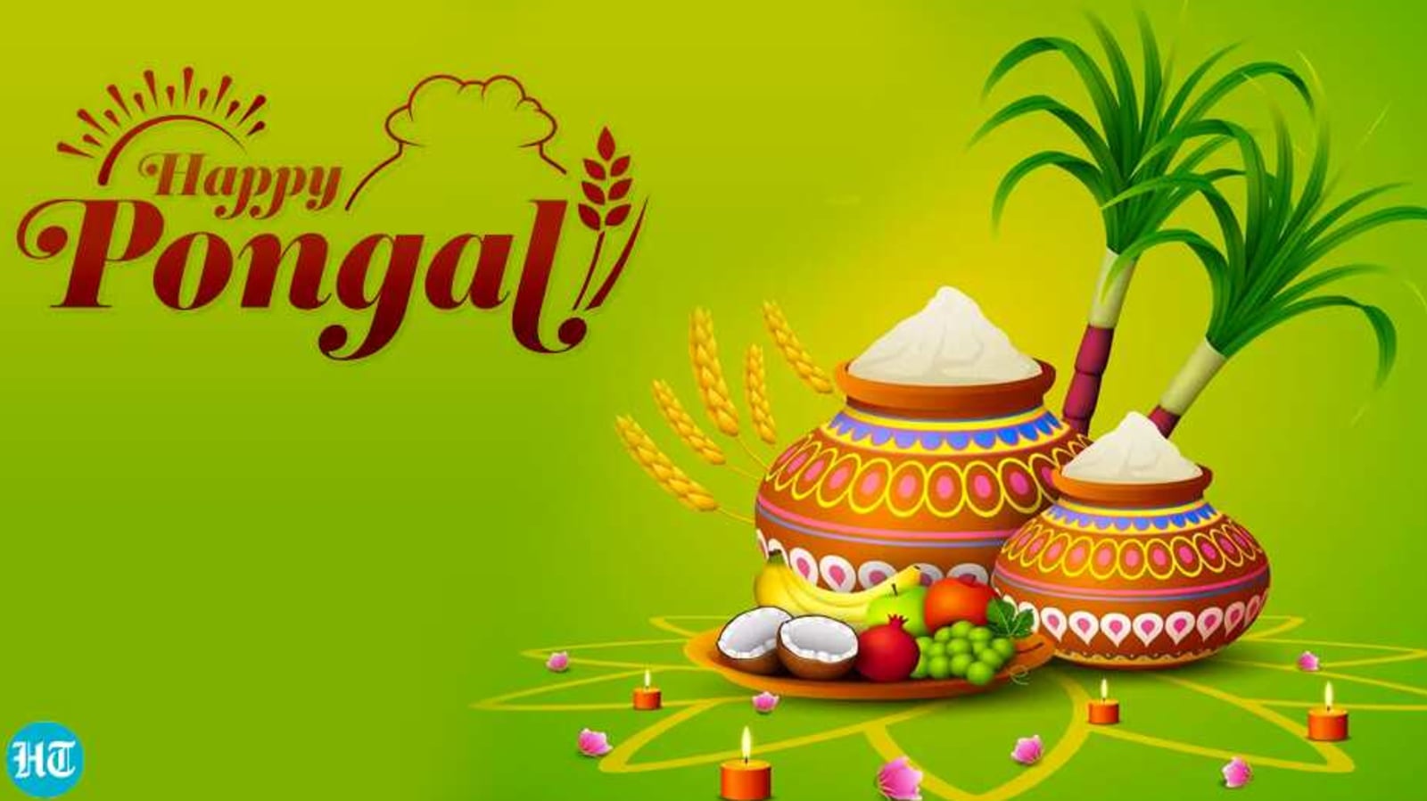 Pongal 2021 History, significance and celebrations of the harvest