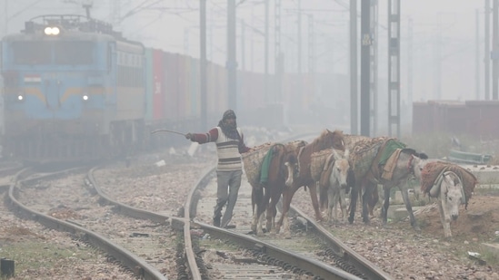A man herding mules and donkeys along railway tracks on a winter morning at Prem Nagar in New Delhi on January 13. Delhi had been registering above-normal minimum temperatures till January 11, as cloud cover persisted over the city under the influence of successive Western Disturbances.(Sanchit Khanna / HT Photo)