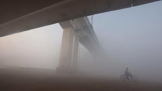 A man cycles amid dense fog on a winter day at Mayur Vihar in New Delhi on January 14. Cold wave conditions continued in Delhi on January 14 after setting in a day prior, with the minimum temperature falling to 2 degree Celsius, which is five degrees below the normal for this time of the year.(Raj K Raj / HT Photo)