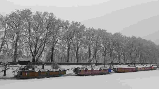 Frosty winds from the snow-clad western Himalayas brought the minimum temperature down in most parts of north India. (Waseem Andrabi/Hindustan Times)