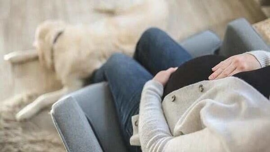 A team of researchers from the University of Warwick has pinpointed the three days when pregnancy sickness, characterised by nausea and vomiting, is most likely to start.(ANI) A team of researchers from the University of Warwick has pinpointed the three days when pregnancy sickness, characterised by nausea and vomiting, is most likely to start.(ANI)