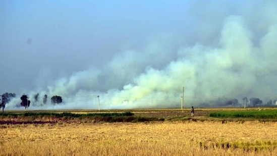 Straw and stubble burning by farmers are a major cause of air pollution in north India.(HT FILE PHOTO) Straw and stubble burning by farmers are a major cause of air pollution in north India.(HT FILE PHOTO)