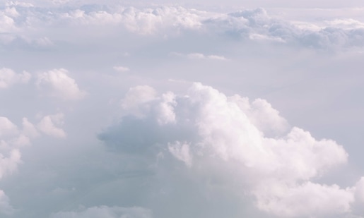 NO2 is a key air pollutant from traffic emissions, associated with respiratory problems, while ozone is also harmful to health, and damages crops. (Unsplash) NO2 is a key air pollutant from traffic emissions, associated with respiratory problems, while ozone is also harmful to health, and damages crops. (Unsplash)