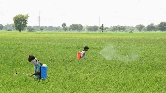 Villagers spray pesticides in a field on the outskirts of Sanand, around 30 km from Ahmedabad on September 1. The five states cited previously have also reported the maximum number of patients that have been cured and discharged, cumulatively accounting for 58.04% of the total 65,081 people who have recovered till September 1. (Sam Panthaky / AFP) Villagers spray pesticides in a field on the outskirts of Sanand, around 30 km from Ahmedabad on September 1. The five states cited previously have also reported the maximum number of patients that have been cured and discharged, cumulatively accounting for 58.04% of the total 65,081 people who have recovered till September 1. (Sam Panthaky / AFP)