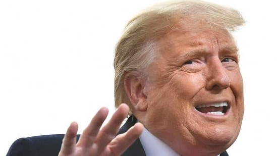 What's next for Donald Trump?(AFP) What's next for Donald Trump?(AFP)