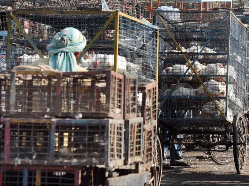 Municipal officials said that bird flu tests of the samples collected from Ghazipur poultry market were found to be negative and orders were issued on Thursday to open the wholesale market by the Delhi government. (PTI)