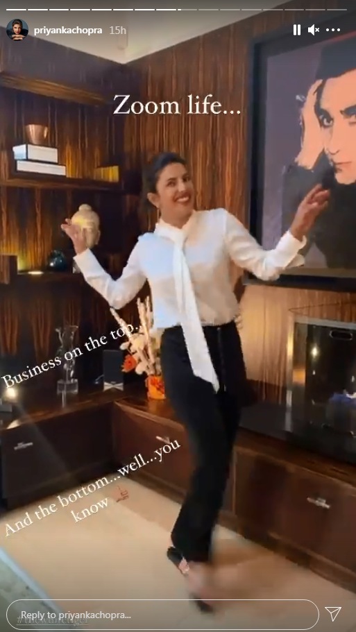 Priyanka Chopra all set for video calls (Instagram story/priyankachopra)