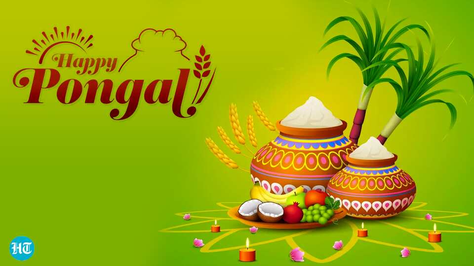 Pongal 2022 Best Wishes. Pongal 2022 Best Wishes. 