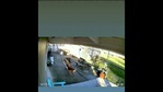The image shows a dog named Ace climbing a ladder. (Twitter/@euandonaghy) The image shows a dog named Ace climbing a ladder. (Twitter/@euandonaghy)