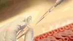 Today, Indian companies have 30 potential vaccines in their pipelines, with several of the most promising backed by government funding. Our foundation is partnering with the department of biotechnology, the Indian Council of Medical Research, and the office of the Principal Scientific Adviser to provide insights from our global research and development work that might inform India’s vaccine development efforts.(REUTERS) Today, Indian companies have 30 potential vaccines in their pipelines, with several of the most promising backed by government funding. Our foundation is partnering with the department of biotechnology, the Indian Council of Medical Research, and the office of the Principal Scientific Adviser to provide insights from our global research and development work that might inform India’s vaccine development efforts.(REUTERS)