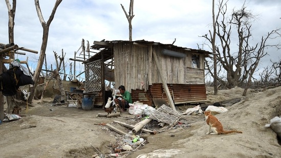 A fisherman eats while feeding his cats at the Taal Volcano island, on January 12. Many evacuees stayed in state-run emergency shelters for a while, then returned to the ash-blanketed towns and cities in Batangas province as the danger subsided.(Lisa Marie David / REUTERS)