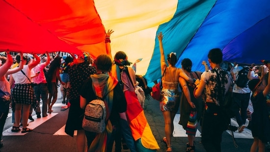 The percentage of regularly seen LGBTQ characters on streaming as well as prime-time broadcast TV and cable during the 2020-21 season fell.(Unsplash) The percentage of regularly seen LGBTQ characters on streaming as well as prime-time broadcast TV and cable during the 2020-21 season fell.(Unsplash)