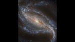 The image shows NGC 613.(Instagram/@nasahubble) The image shows NGC 613.(Instagram/@nasahubble)