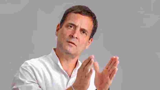 “Do you have a clear strategy in mind that could be summarised in three sentences?’’ Rahul Gandhi was said to have asked Jaishankar.(PTI)
